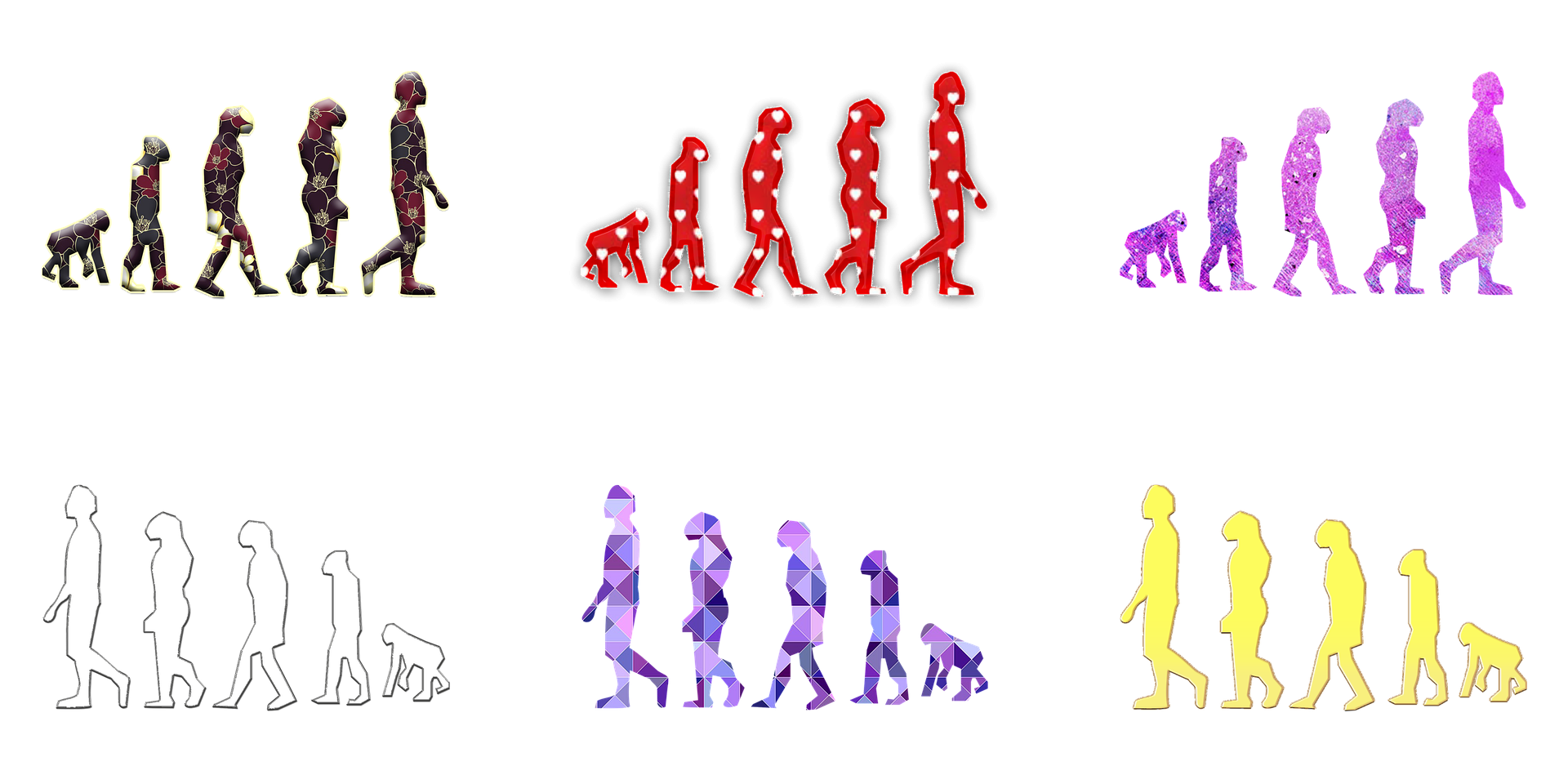 Miskonsepsi Tentang Missing Link