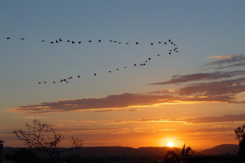 Pulang dan Kerinduan