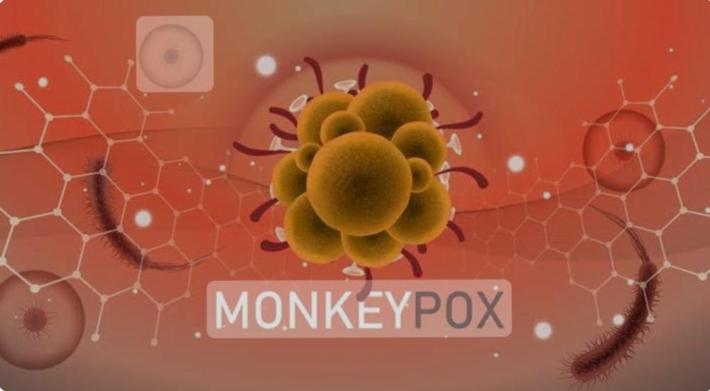 Mewaspadai Virus Cacar Monyet Mewaspadai Virus Cacar Monyet